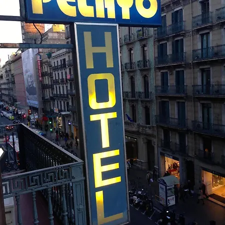 Hotel Hotel Pelayo